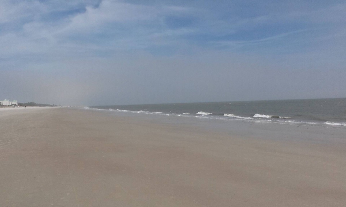 Fiddlers Hilton Head | Folly Field