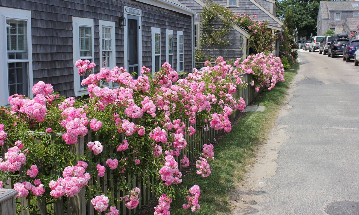 Sconset | Siasconset