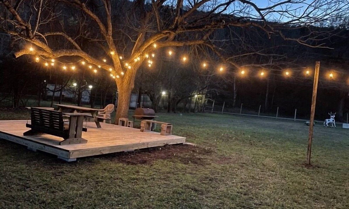 Bluebonnet | New Braunfels