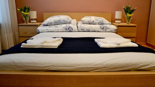 Apartament Meiselsa | Piasek Połnoc