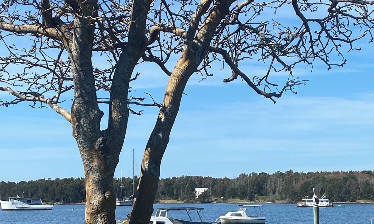 Lorsens The River | Shoalhaven Heads