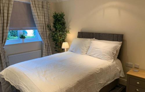 Addlestone | Runnymede