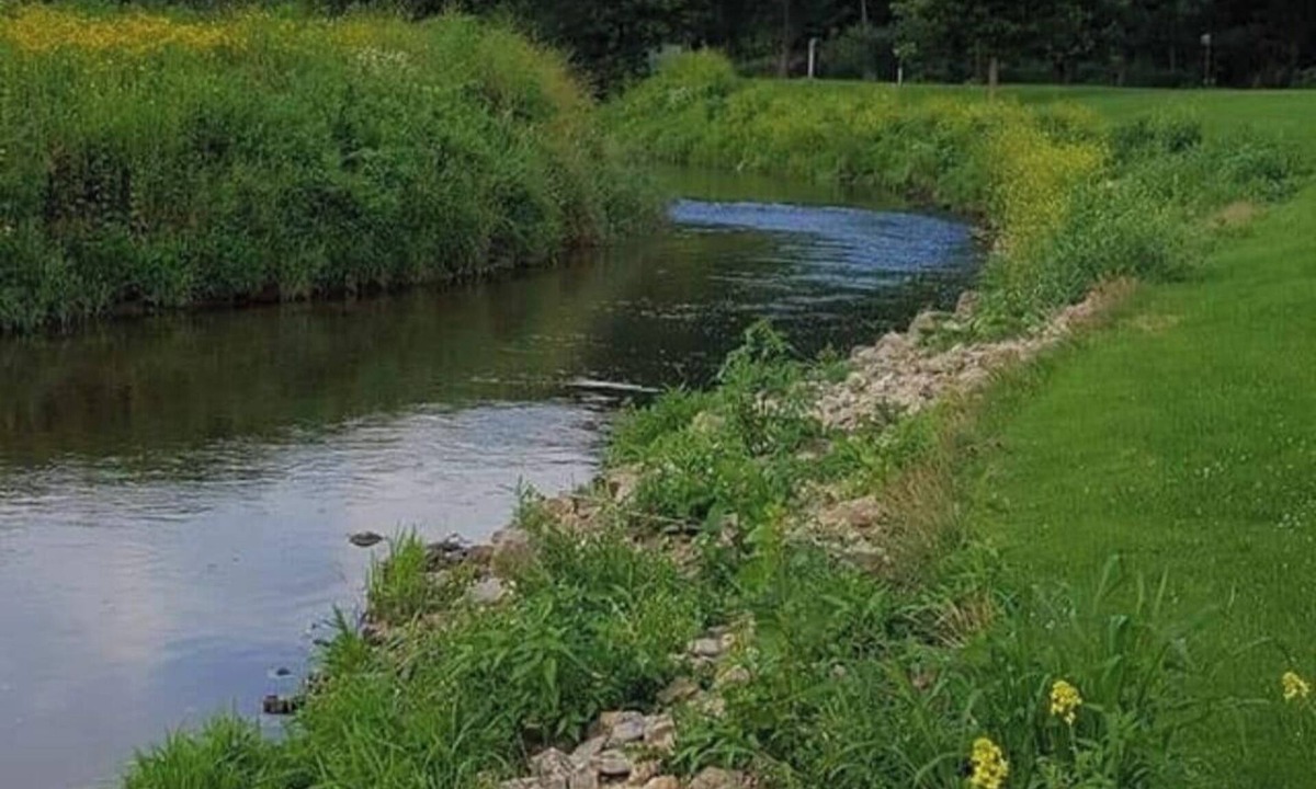 Blakley Hobbit Spot | Viroqua