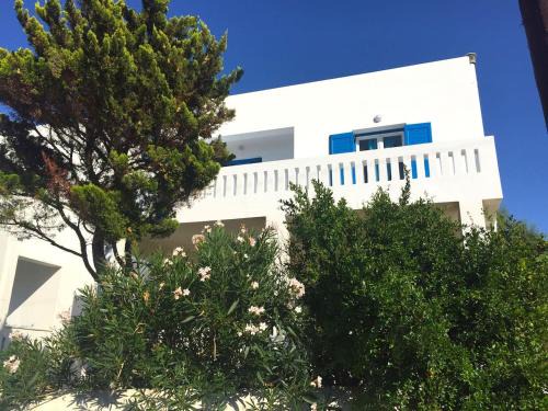 Andros | Paleopolis
