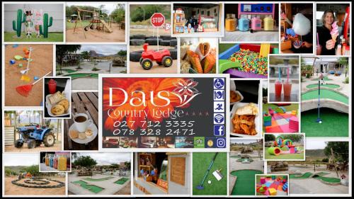 Daisy Country | Springbok