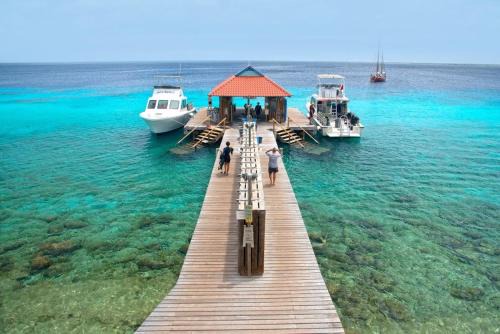 Divi Flamingo Beach Resort | Playa