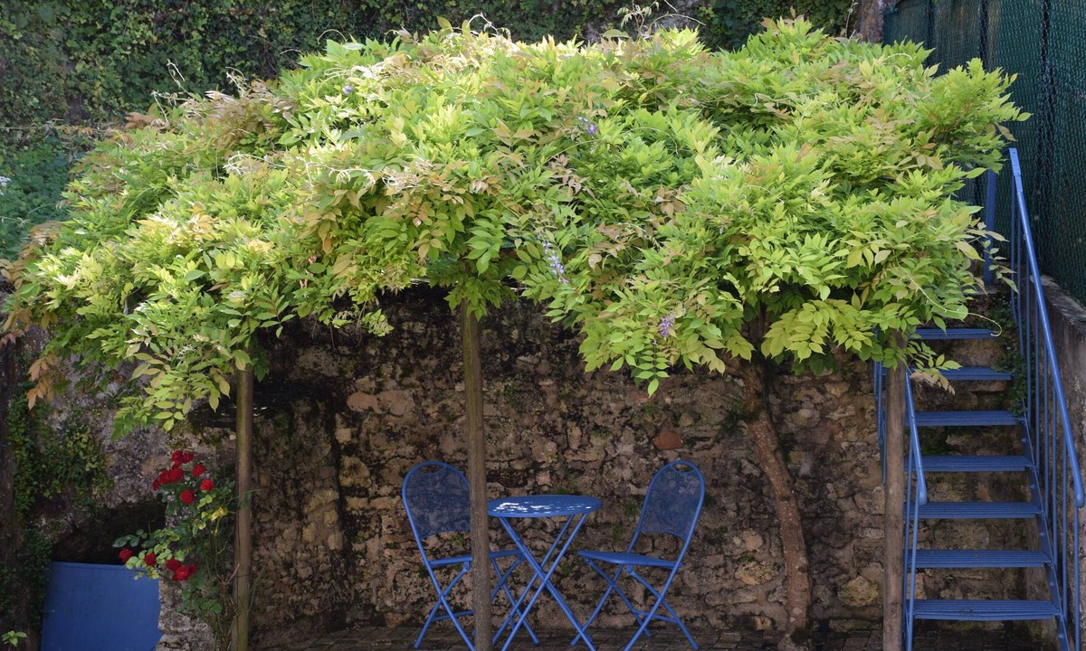 Gîte Volets Bleus | Provins