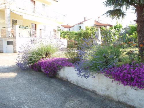 Jasmin | Rovinj