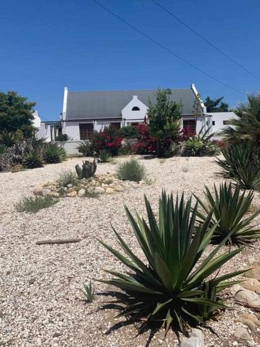 Lady Grey Cottage | McGregor