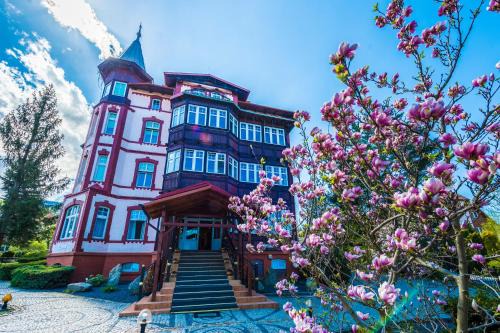 Magnolia | Swieradow-Zdroj