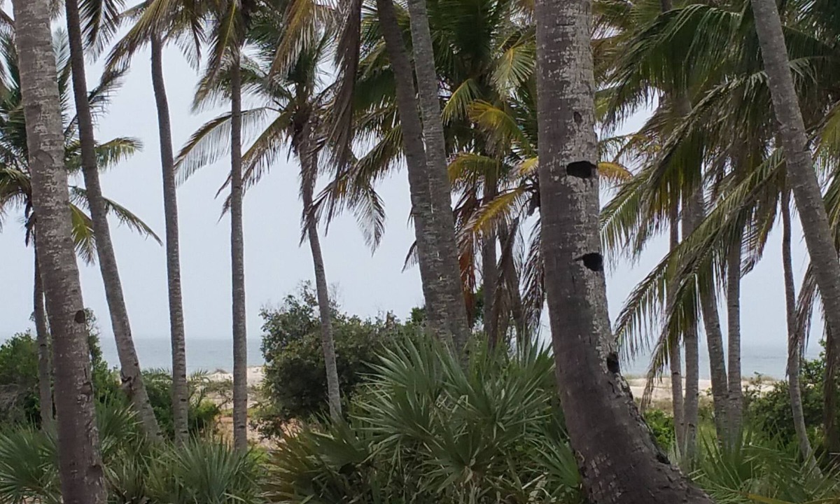 Morrumbene Beach Resort | Morrumbene