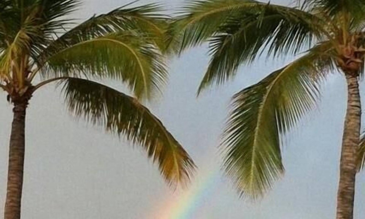 Makaha Surfside Waianae | Makaha