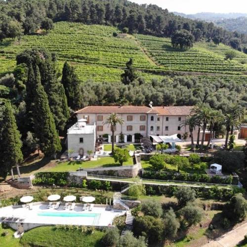 Relais Montepepe Winery | Montignoso