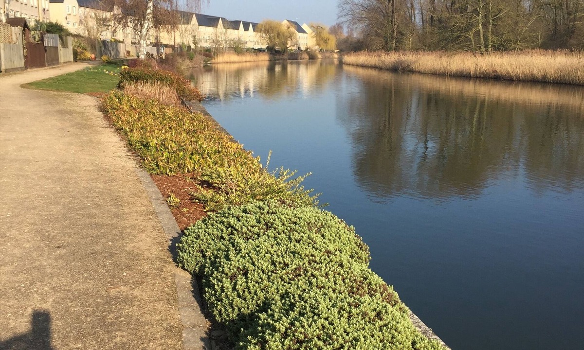 River Ground Skipper Way | St Neots