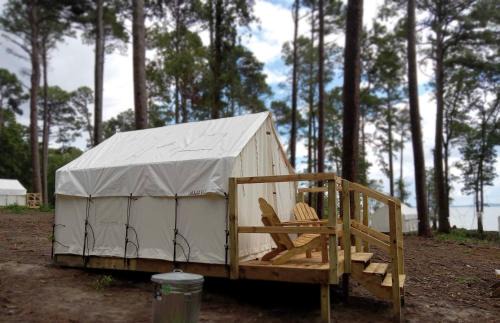 Tentrr State Park Site Louisiana North Toledo Forest Glade | Zwolle