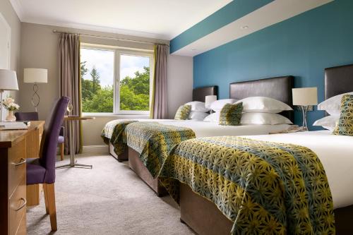 The Inn At Dromoland | Newmarket on Fergus