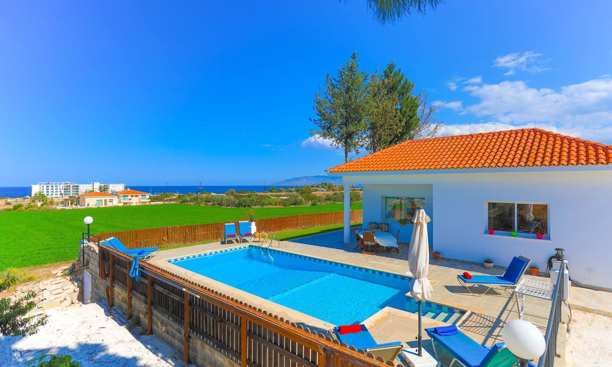 The Vines Latchi | Latchi