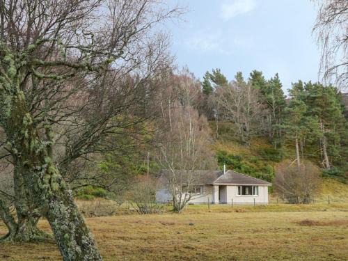 Tigh An Tearlach | Alvie
