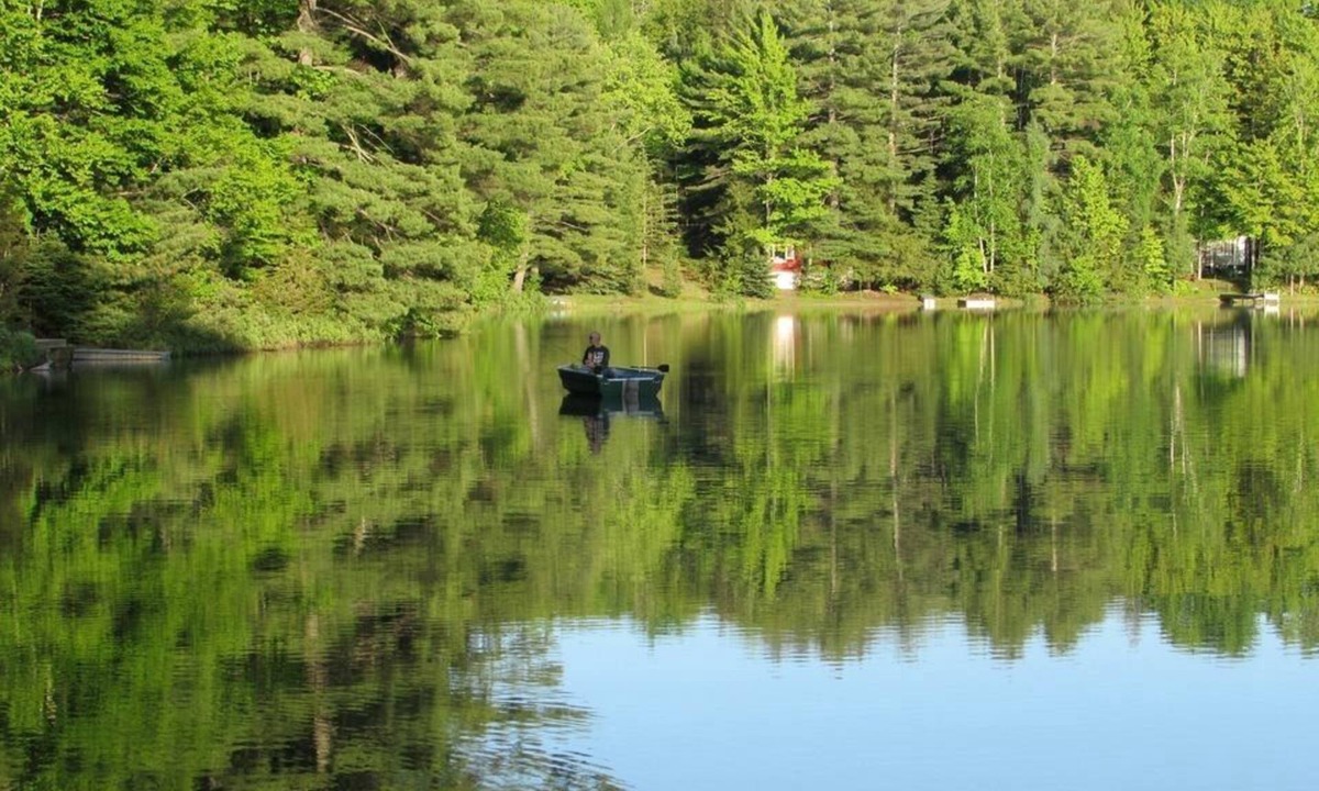 Turtle Cove Town | Wetmore