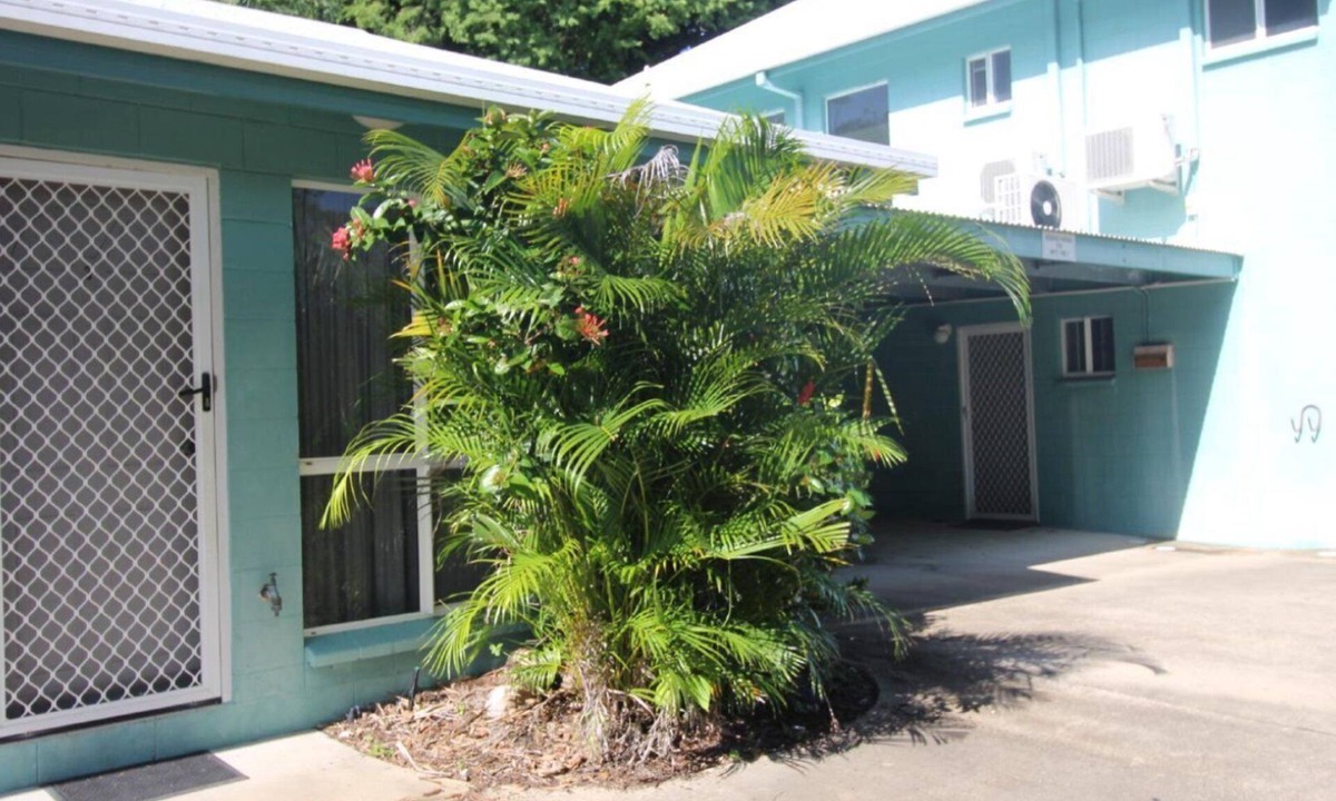 Beachcomber | Arcadia