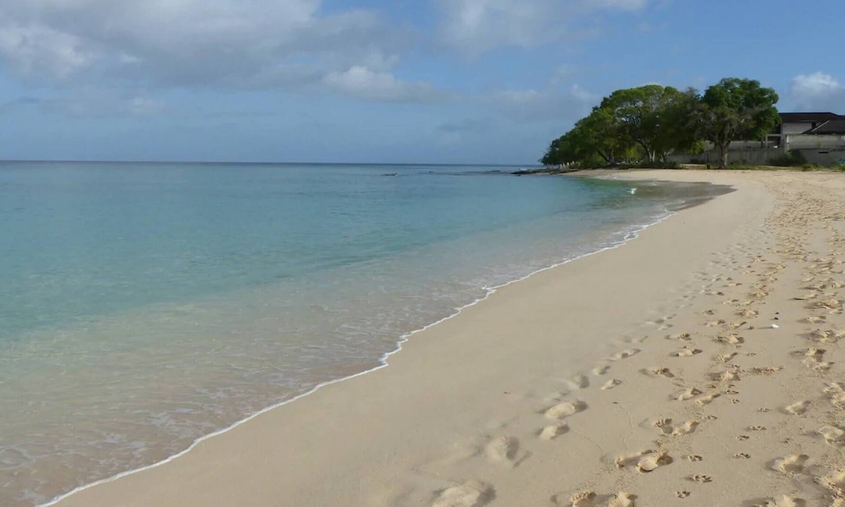 Zenbreak Freshwater | Spring Garden