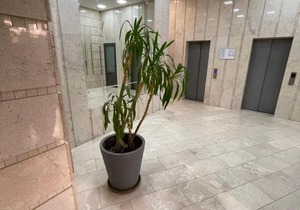 Квартира в Аркадии - Apartment in Arcadia