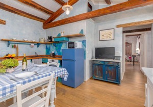 1 bedroom beautiful apartment in Zminj