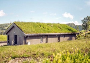 10 person holiday home in F vang