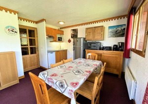 10m from ski slopes, 1st floor, balcony, tv, ski locker, 46m², Les Menuires