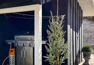 12 person holiday home in Saltum