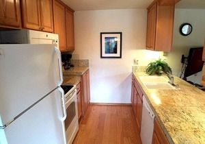 146 Standard by RedAwning