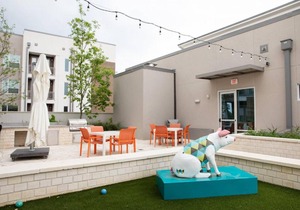 1BR Apt near Barton Creek #2436 by WanderJaunt