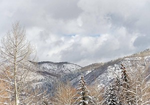 1BR Condo, Private Entrance, COVID-Safe, New Remodel, Walking Distance to ALL Things Aspen!