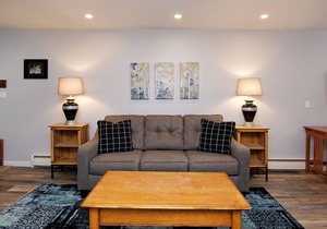 1BR Condo, Private Entrance, COVID-Safe, New Remodel, Walking Distance to ALL Things Aspen!