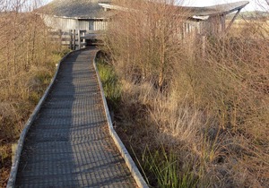 2 bedroom accommodation in Tregaron