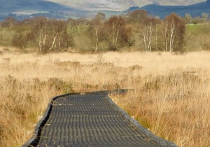 2 bedroom accommodation in Tregaron