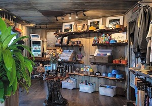 2-Star Hotel ∙ Campfire Hotel