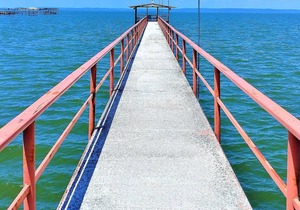 2 Waterfront Spacious Houses, Gated, 317 Ft Lighted Shaded Concrete Fishing Pier