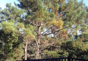 200 m² House ∙ 4 bedrooms ∙ 8 guests