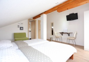 25 m² Private room ∙ 1 bedroom ∙ 3 guests