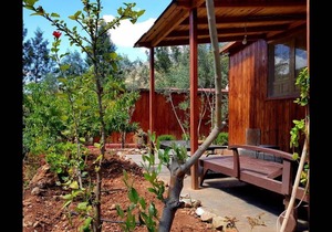 26 m² Private room ∙ 2 bedrooms ∙ 3 guests