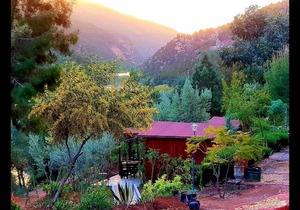 26 m² Private room ∙ 2 bedrooms ∙ 3 guests