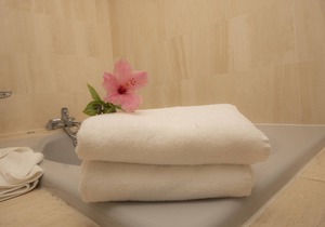 28 - A FOOT IN THE CARIBBEAN 2BDR