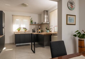 3 bedroom amazing home in Breg Ivanovci