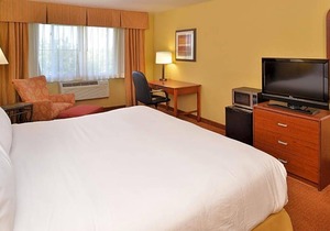 3-Star Hotel ∙ Holiday Inn Stevens Point - Convention Center, an IHG Hotel