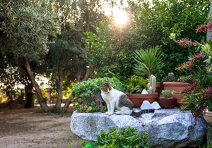 30 m² Apartment ∙ 1 bedroom ∙ 4 guests