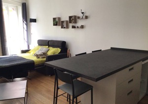 30 m² Studio flat ∙ 1 bedroom ∙ 1 guest