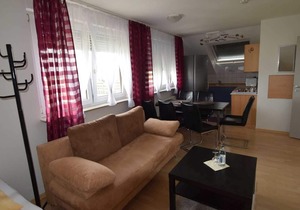 303 2-room apartment - Hotel Alena