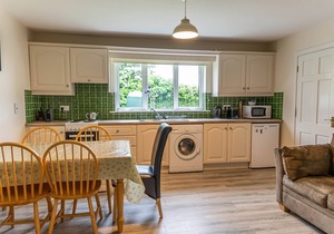 32a The Hawthorns by Wild Atlantic Wanderer