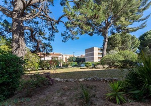 33 m² Apartment ∙ 1 bedroom ∙ 4 guests